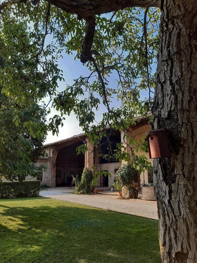 B&B Santa Cristina 몬티키아리 외부 사진