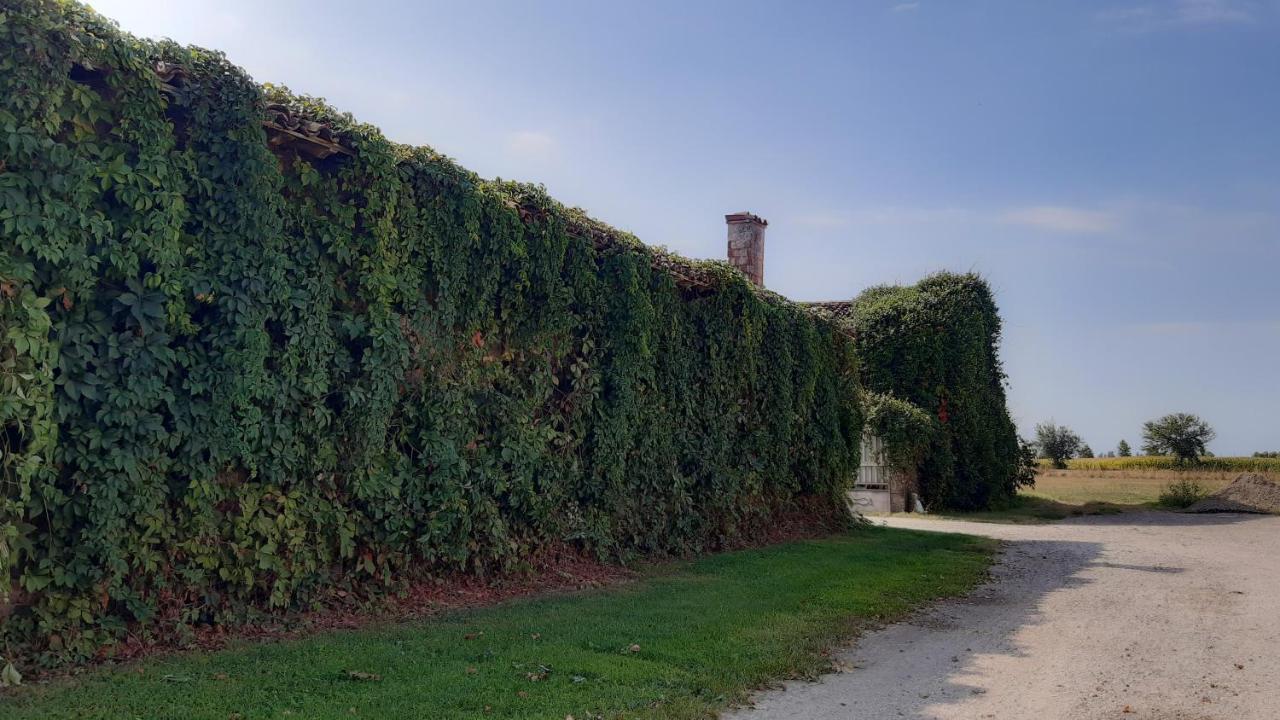 B&B Santa Cristina 몬티키아리 외부 사진